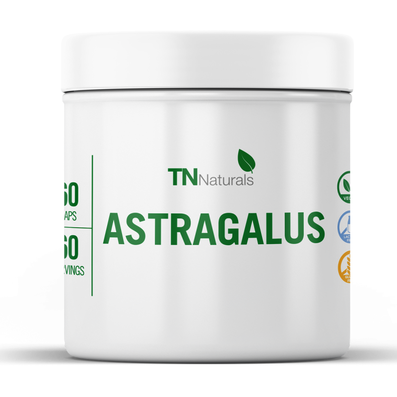 Astragalus 60 caps