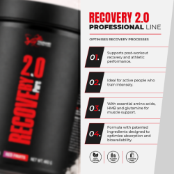 Recovery Pure Professional 2.0 460 g