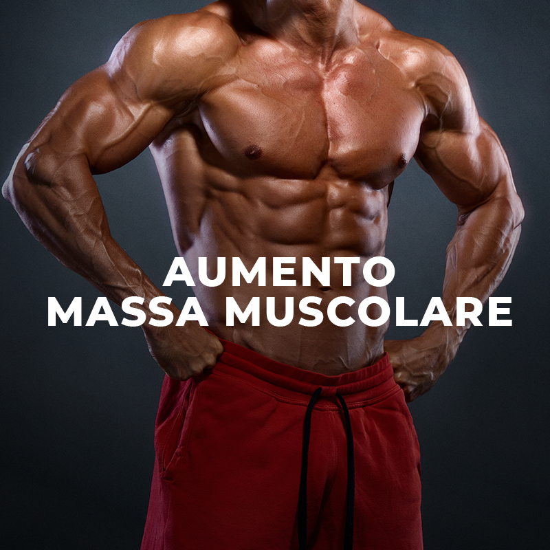 Augmentation de la masse musculaire