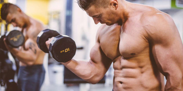 Stéroïdes anabolisants naturels : les solutions sûres pour augmenter la masse musculaire