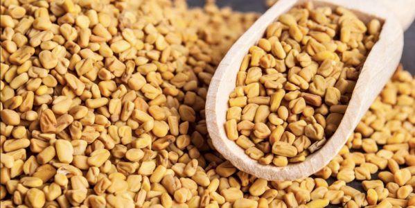 Fenugrec : propriétés, bienfaits et contre-indications