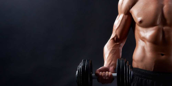 Protéine mTor : c'est quoi, à quoi sert-elle, où la trouve-t-on ?