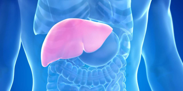 Les compléments alimentaires sont-ils mauvais pour le foie ?