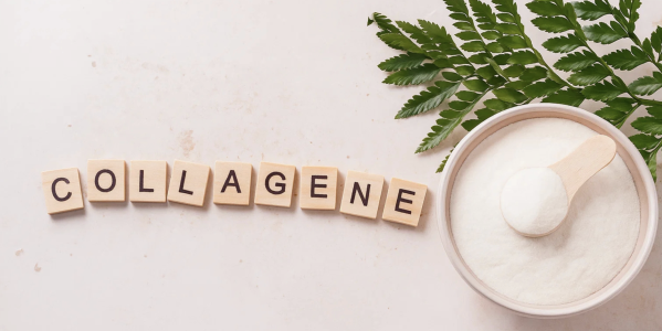 Collagène : quels sont les aliments les plus riches et où le trouver ?