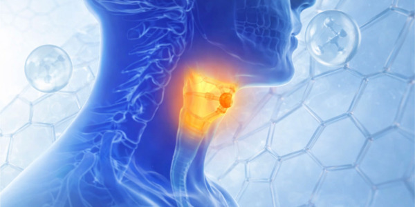 Le collagène est-il mauvais pour la thyroïde ? Liens et contre-indications