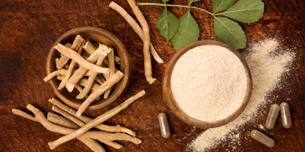Ashwagandha : origines, bienfaits et effets sur l'organisme
