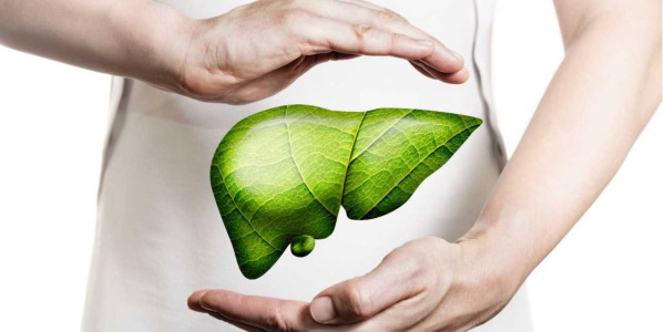 Liver and kidney detox: natural remedies, diet and herbal teas