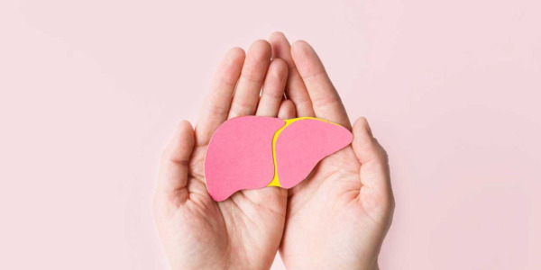 The liver and alcohol: how long does it take to detoxify it, and how can you do so?