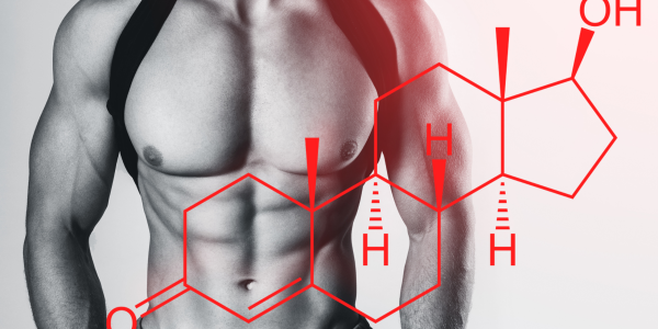 Testosterone: Male Well-Being and Supporting Supplements