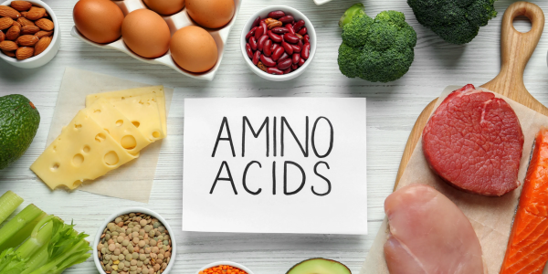 Essential Amino Acids: Functions, Nutrition, and Support for Sports Performance