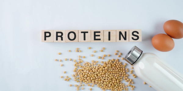 Plant-Based Proteins: Types, Sources and Nutritional Values