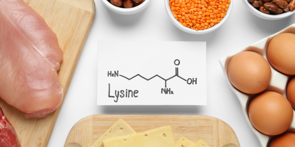Lysine: What It Is, What It Does, and Where to Find It