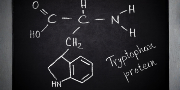 Tryptophan: What It Is, What It Does, Sources and Intake