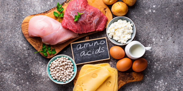 The 10 Best Essential Amino Acids