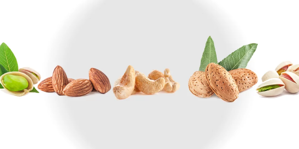 Fruits secs : avantages et propriétés nutritionnelles des Amandes, Cacahuètes et Pistaches