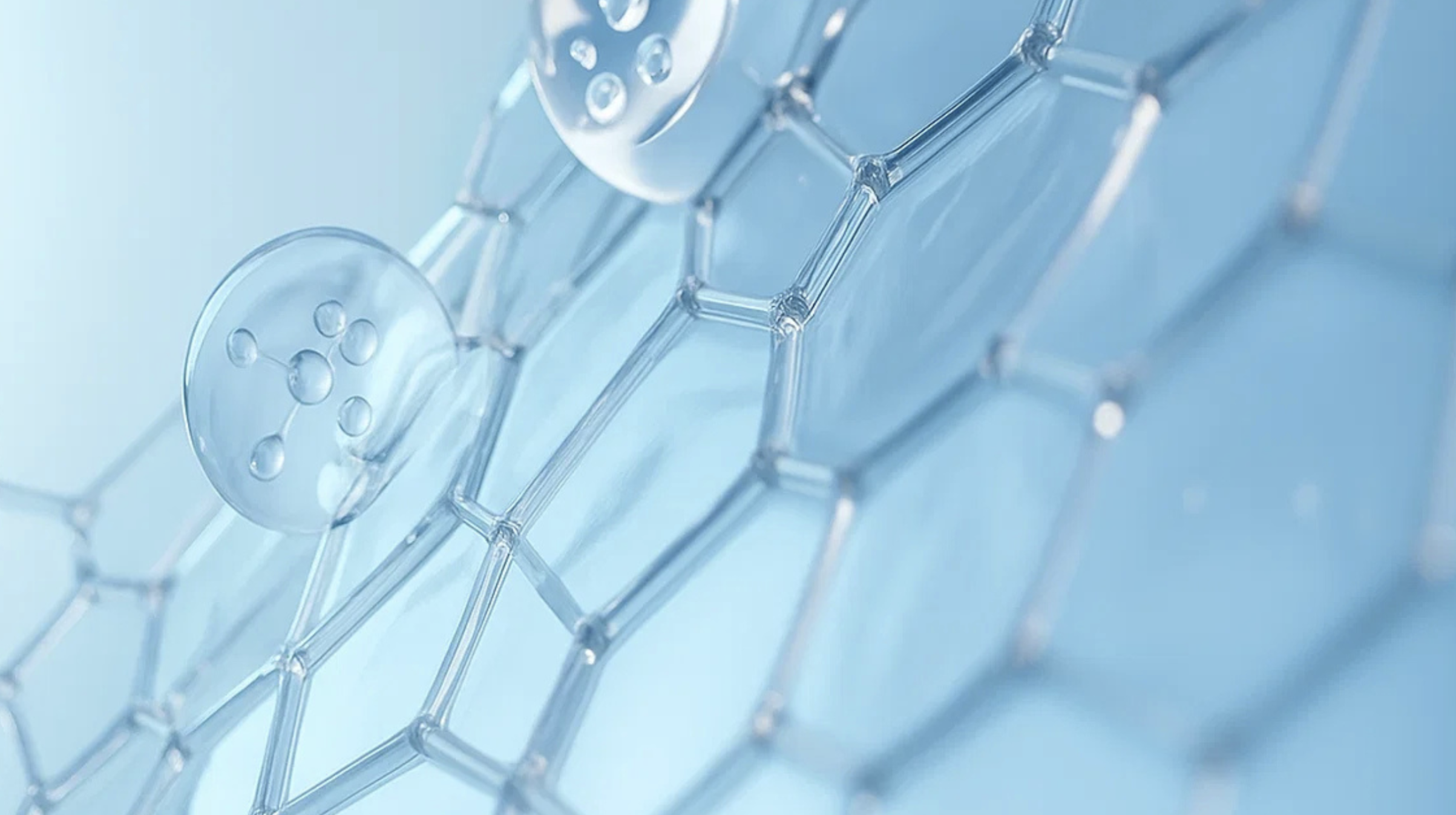 Guide des compléments alimentaires à base de collagène marin