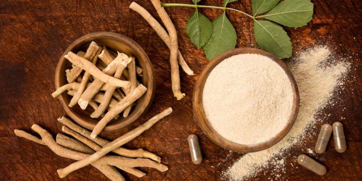 Ashwagandha : origines, bienfaits et effets sur l'organisme