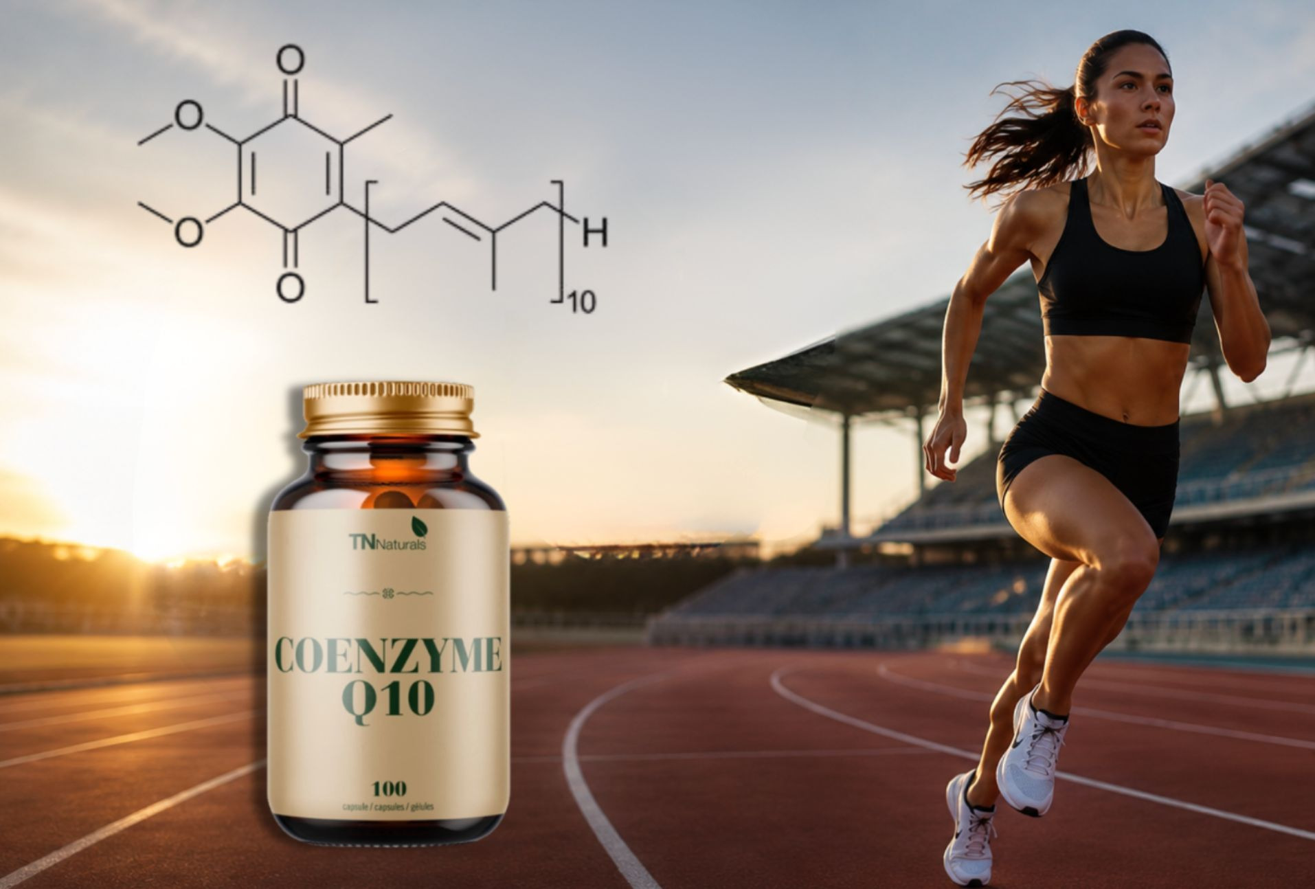 Coenzyme Q10: what it's used for, its benefits and when to take it