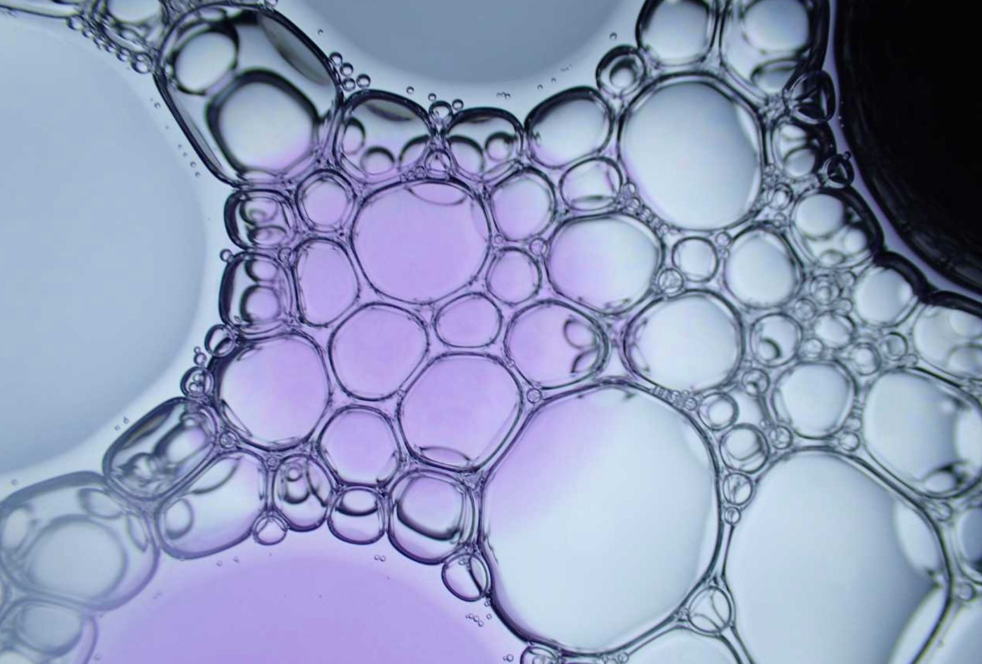 Peptides de collagène : qu'est-ce que c'est, bienfaits et comment les choisir