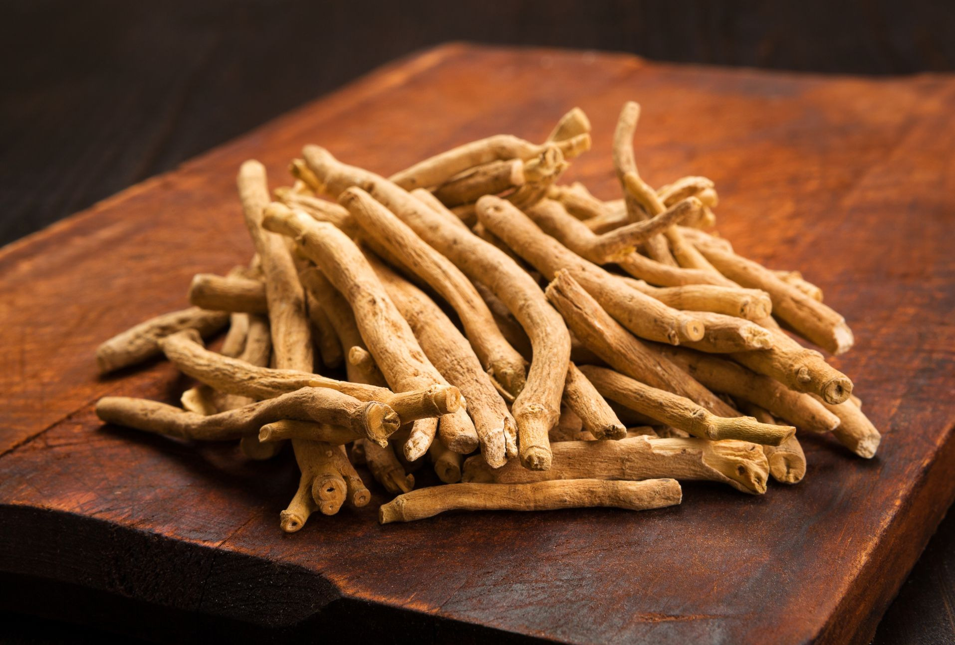 Ashwagandha et musculation : force et récupération