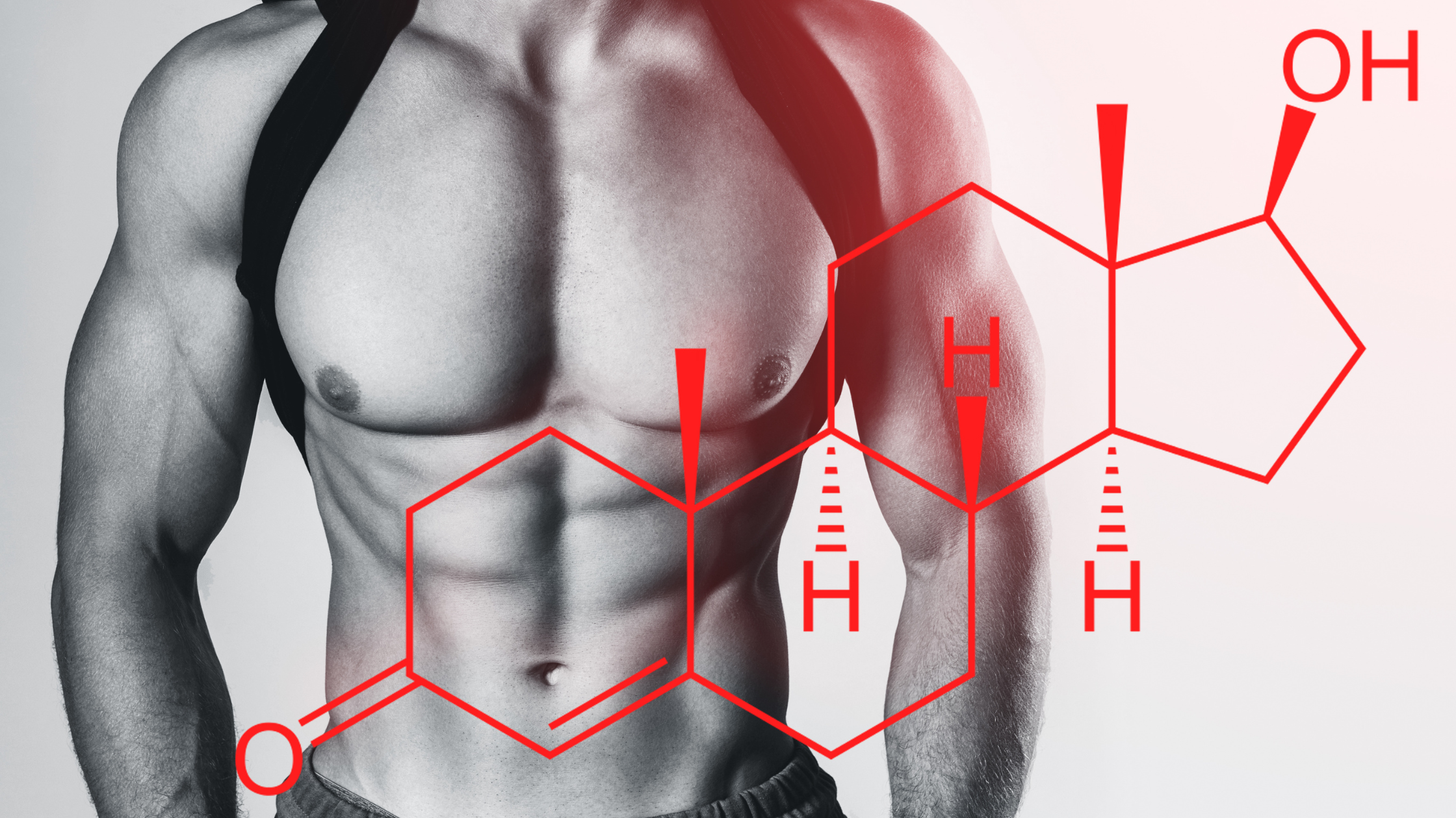 Testosterone: Male Well-Being and Supporting Supplements