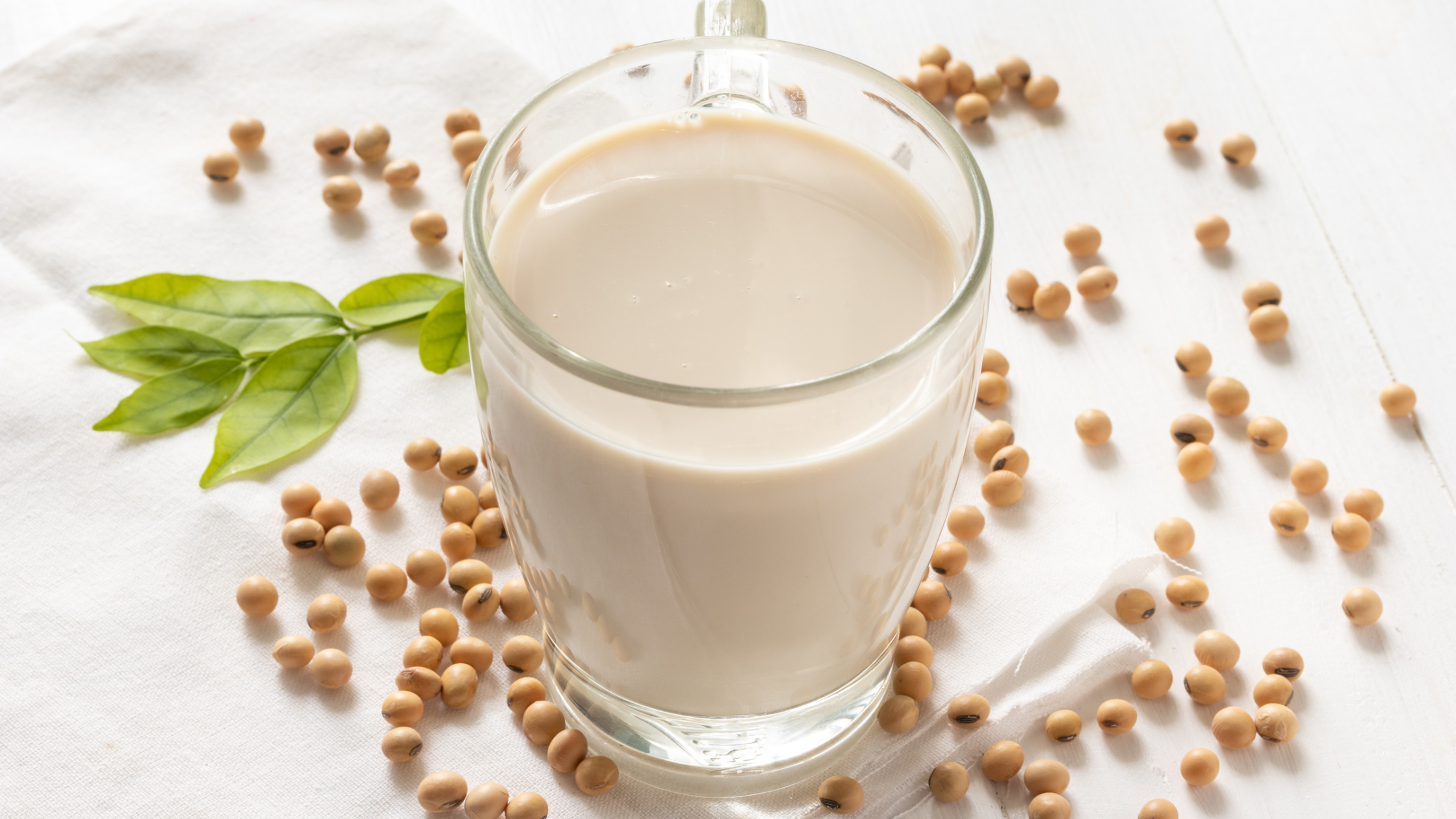 Soja et protéines : propriétés nutritionnelles, masse musculaire et contre-indications