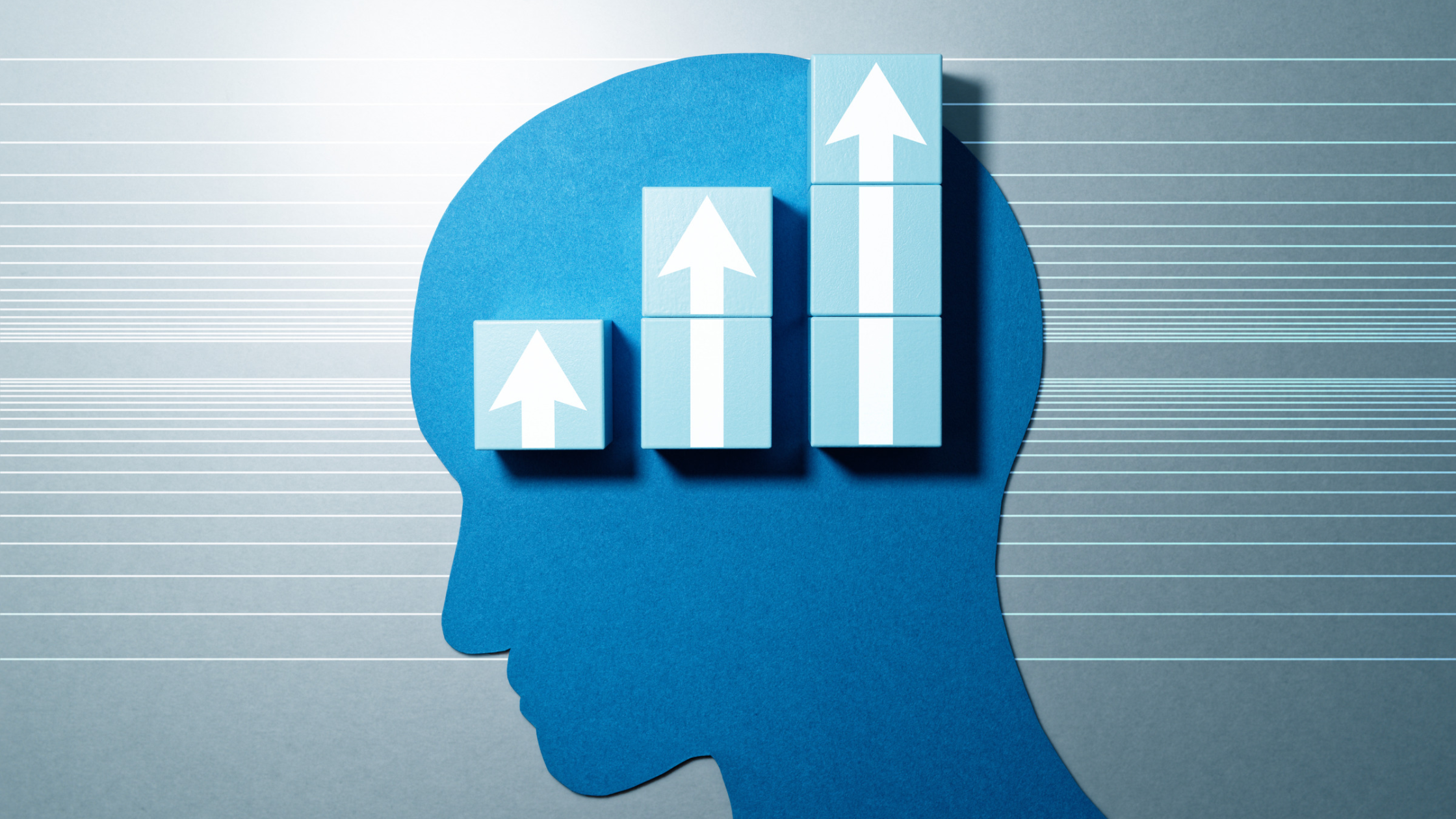 Acetyl L-Carnitine: What Is It Used For? How to Take It and Contraindications