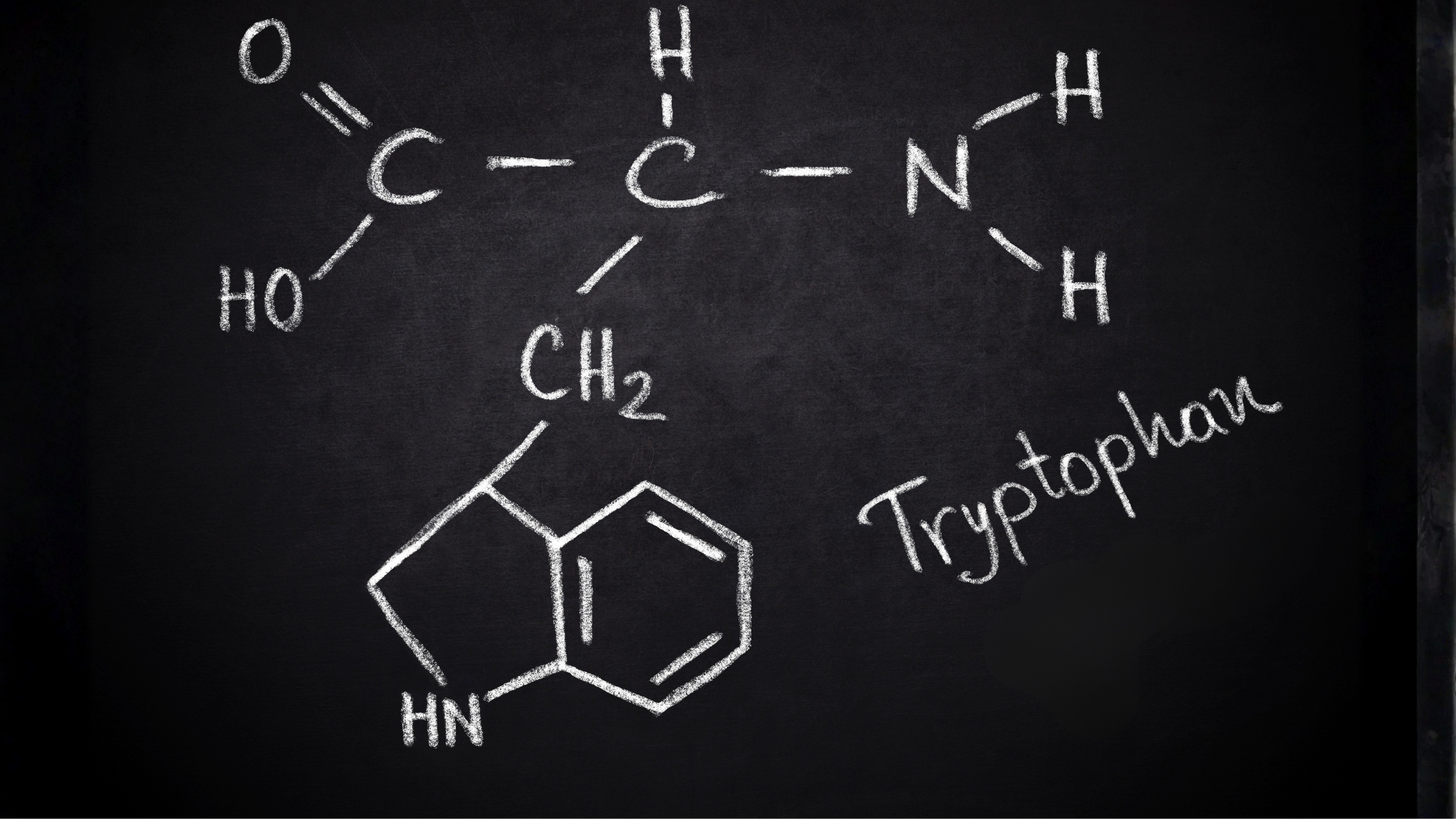 Tryptophan and L-Tryptophan: Side Effects, Contraindications, and How Long It Takes to Work