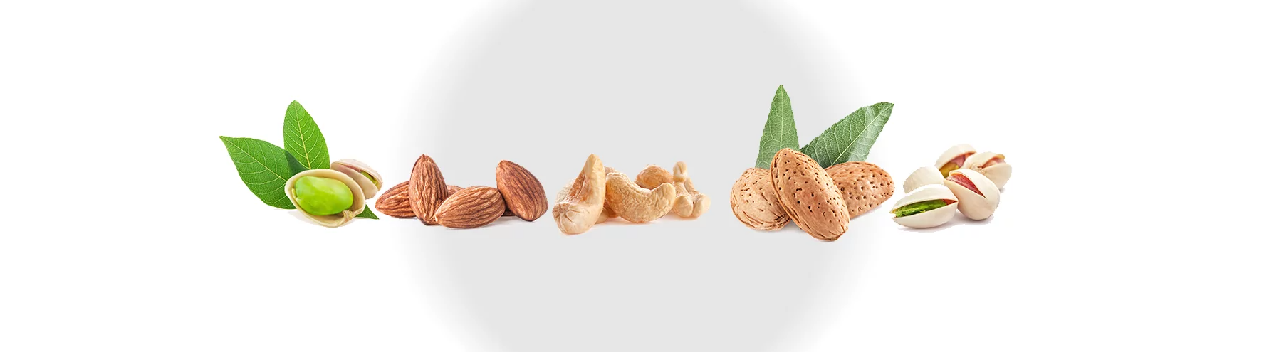 Fruits secs : avantages et propriétés nutritionnelles des Amandes, Cacahuètes et Pistaches